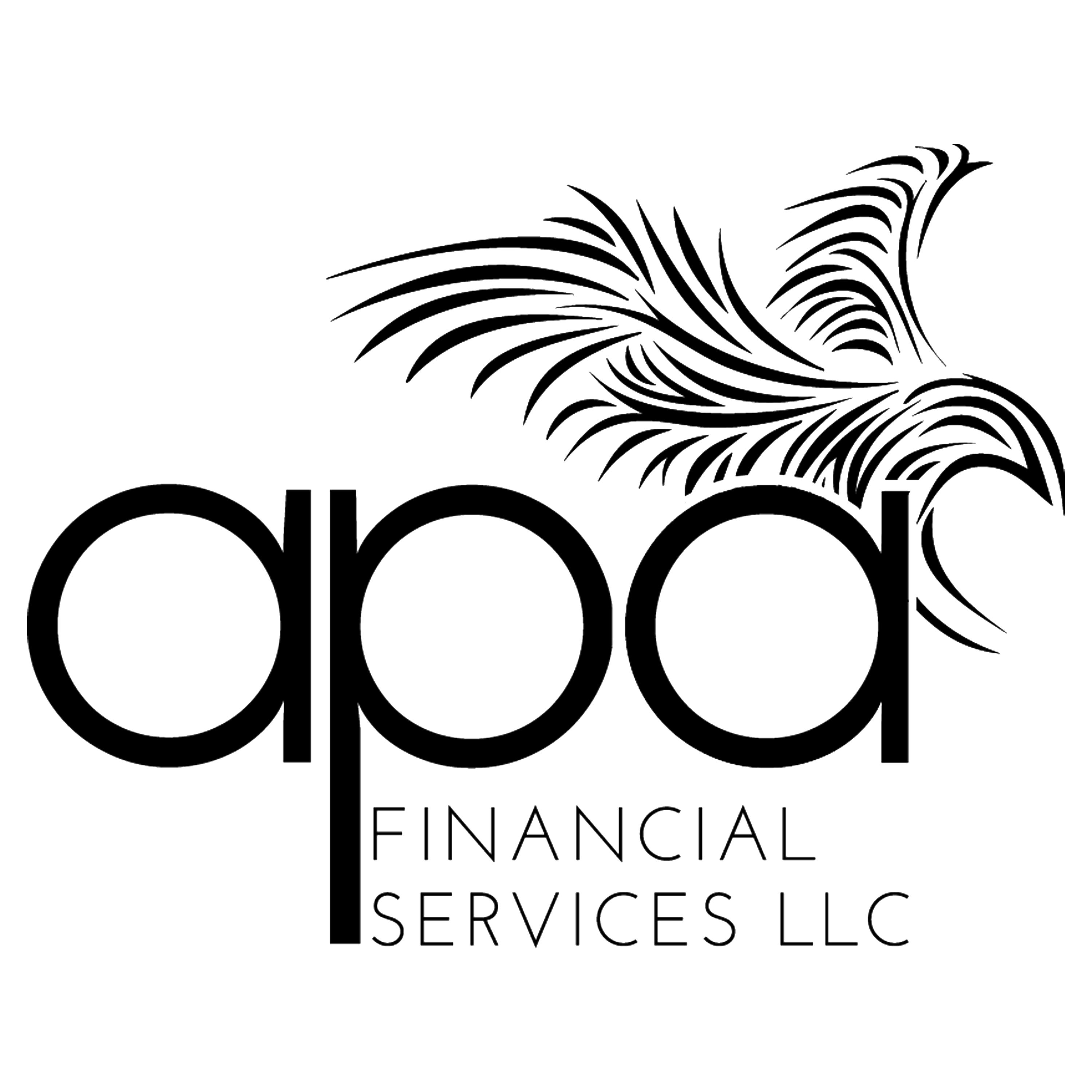 APA Financial Services LLC